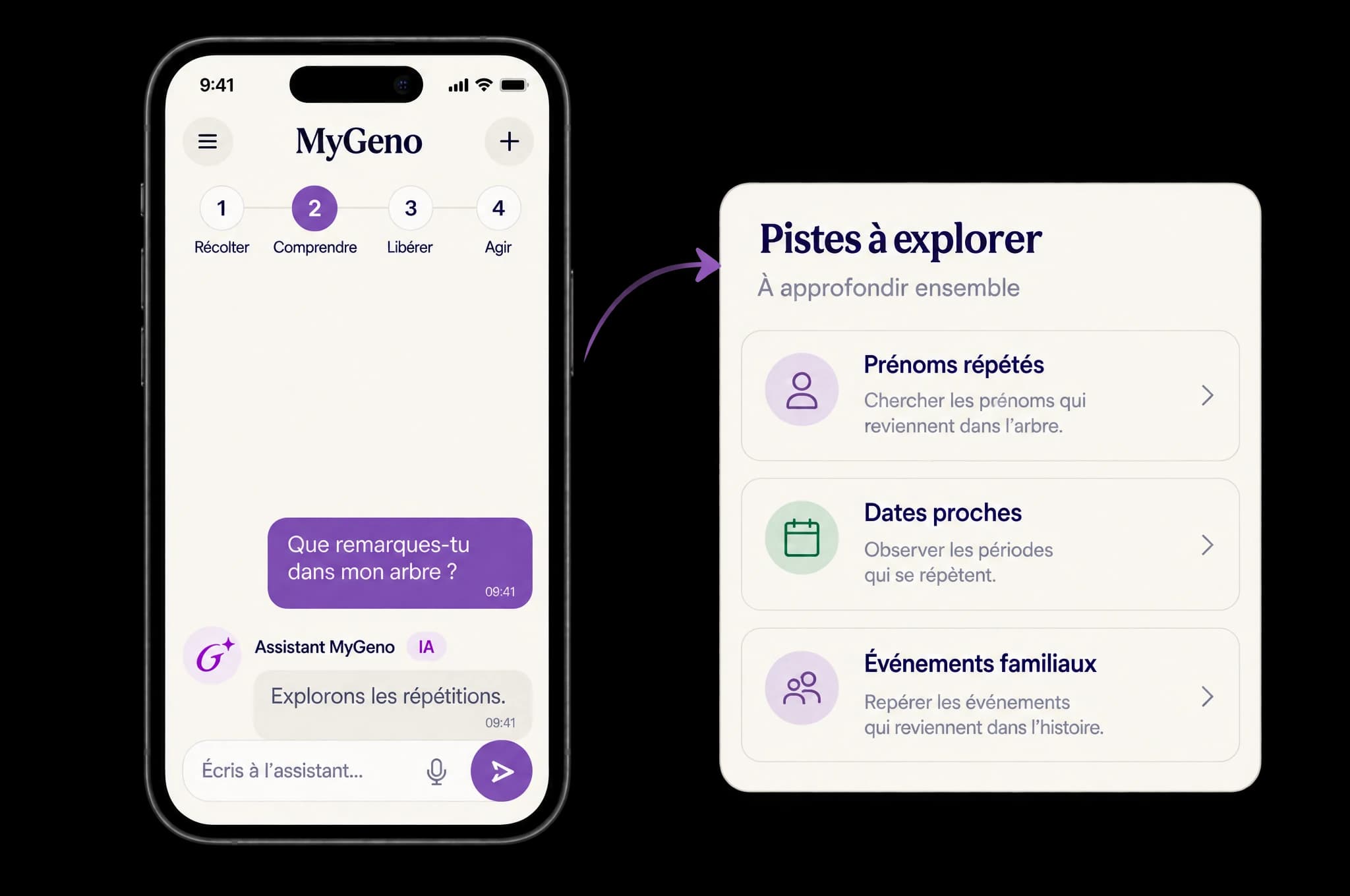 L'étape Comprendre dans MyGeno : les liens et répétitions sont mis en lumière